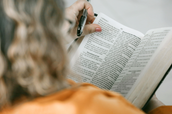 Antiguo Testamento: Desde el Pentateuco a la Narrativa Histórica