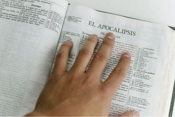 Comunidades del Reino en las epístolas y Apocalipsis