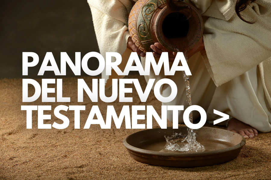 Panorama del Nuevo Testamento