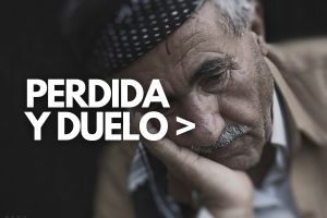 Etiquetas de cursos (36)