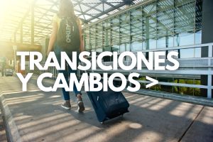 Etiquetas de cursos (38)