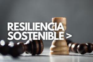 Etiquetas de cursos (39)