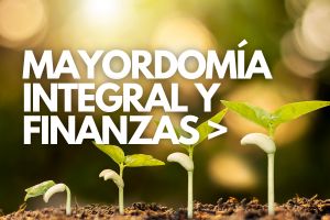 Etiquetas de cursos (40)