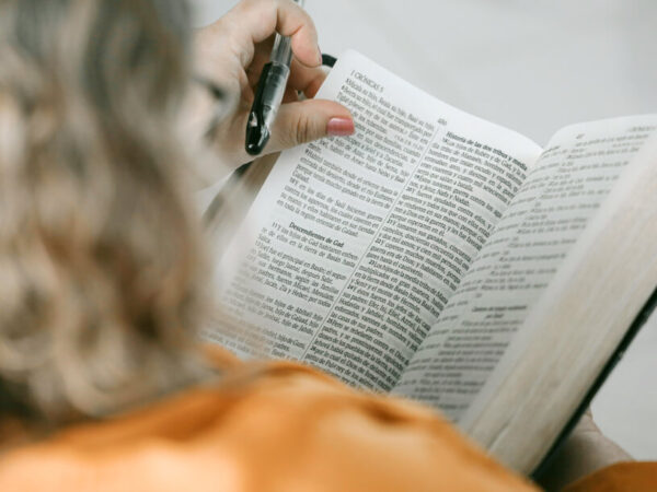 Antiguo Testamento: Desde el Pentateuco a la narrativa histórica