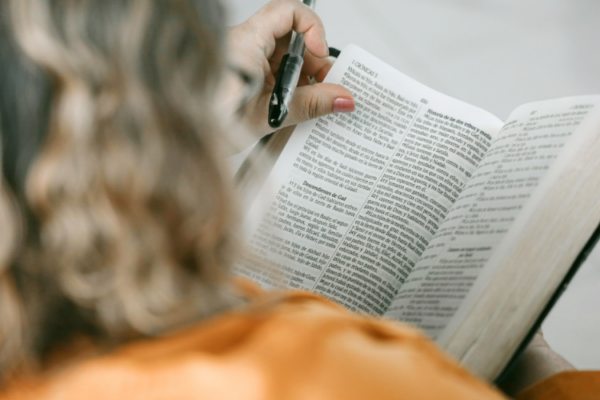 Los Hilos Conductores de la Biblia: El Reino, El Pacto y El Mediador
