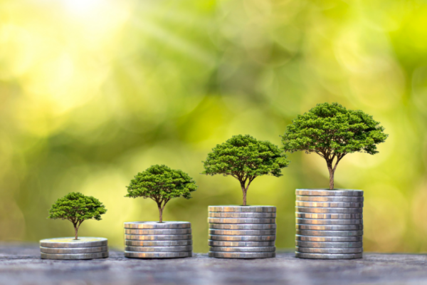 Principios bíblicos para la mayordomía financiera-SoliDeo